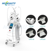 Professional Cryolipolysis Equipment for Fat Removal