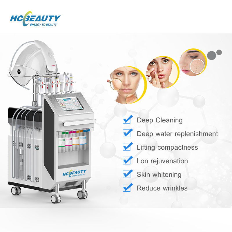 Multifunction Oxygen Skin Care 11 in 1 Facial Machine